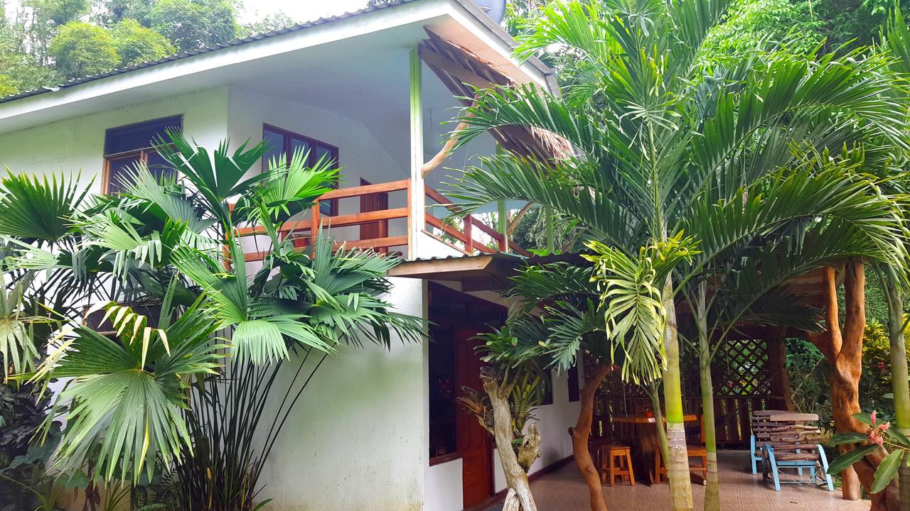 3 Bamboo Eco Lodge 卡维塔 外观 照片
