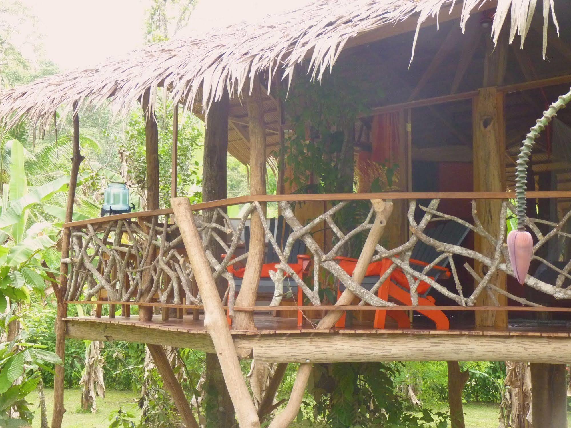 3 Bamboo Eco Lodge 卡维塔 外观 照片