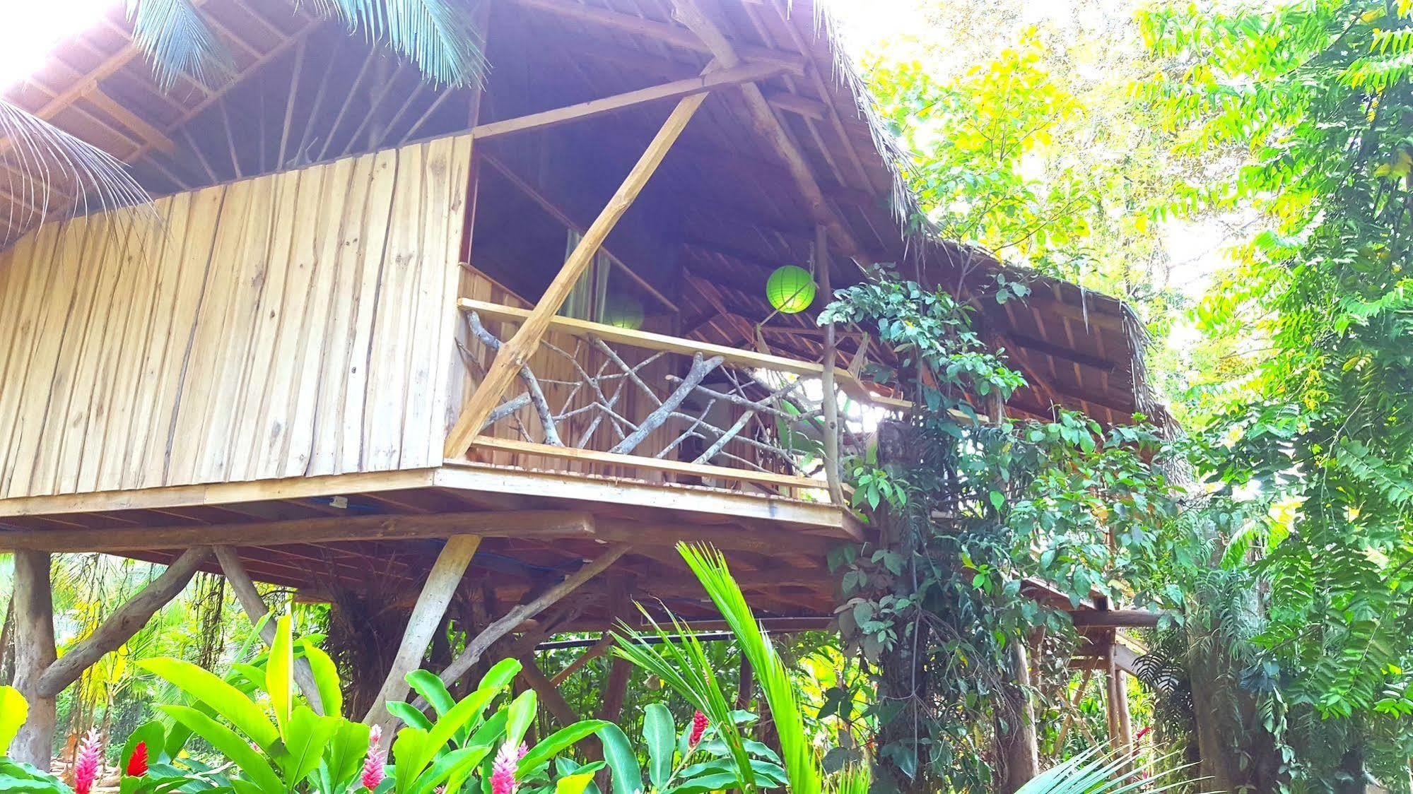 3 Bamboo Eco Lodge 卡维塔 外观 照片