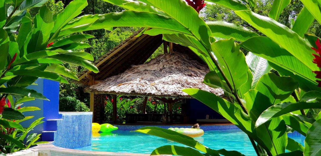 3 Bamboo Eco Lodge 卡维塔 外观 照片