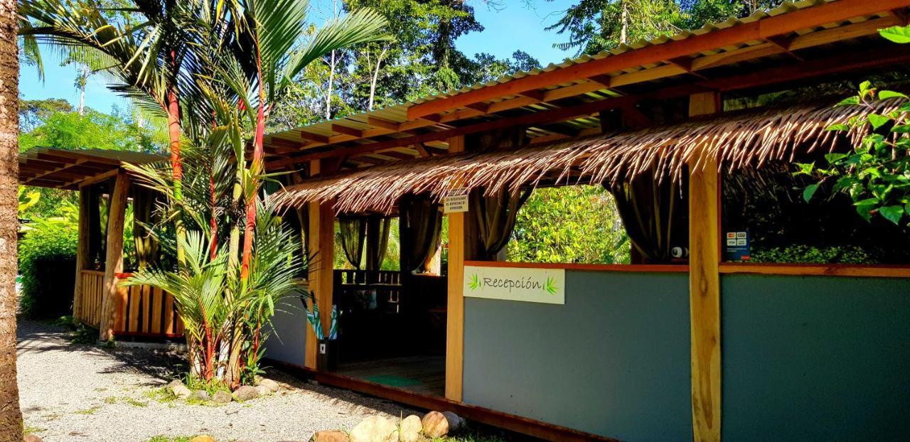 3 Bamboo Eco Lodge 卡维塔 外观 照片